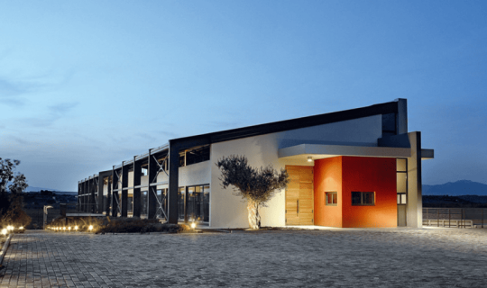 Ταξίδι στον αμπελώνα και τις αρχαιότητες στα Μεσόγεια Αττικής