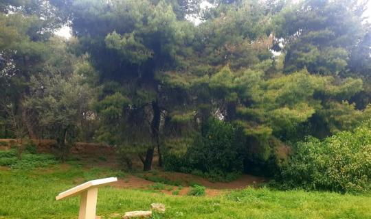  Περίπατος στην Ακαδημία Πλάτωνος. Χίλια χρόνια  επιστήμης