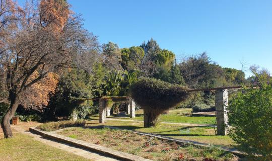  Διομήδειος Βοτανικός Κήπος στο Χαϊδάρι. Ο μεγαλύτερος της Ανατολικής Μεσογείου